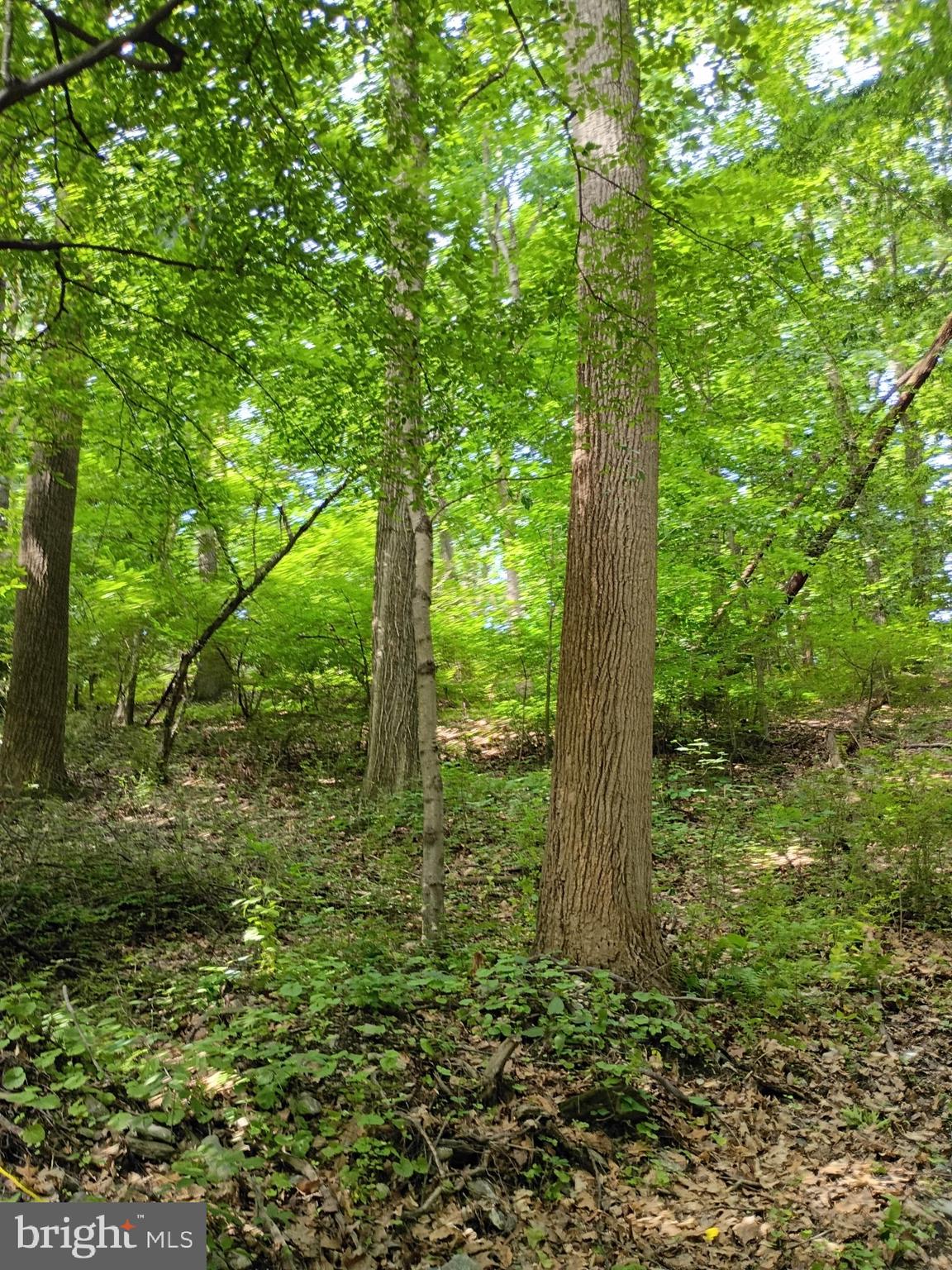 294 OLD RACETRACK ROAD