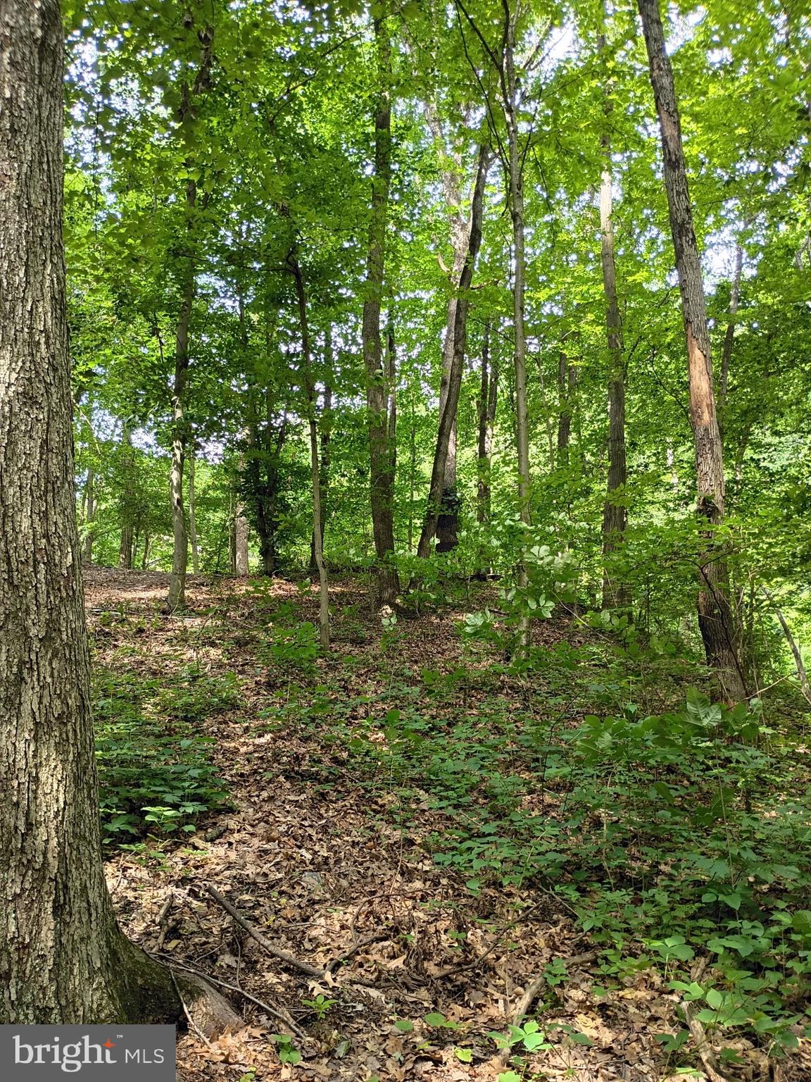 294 OLD RACETRACK ROAD
