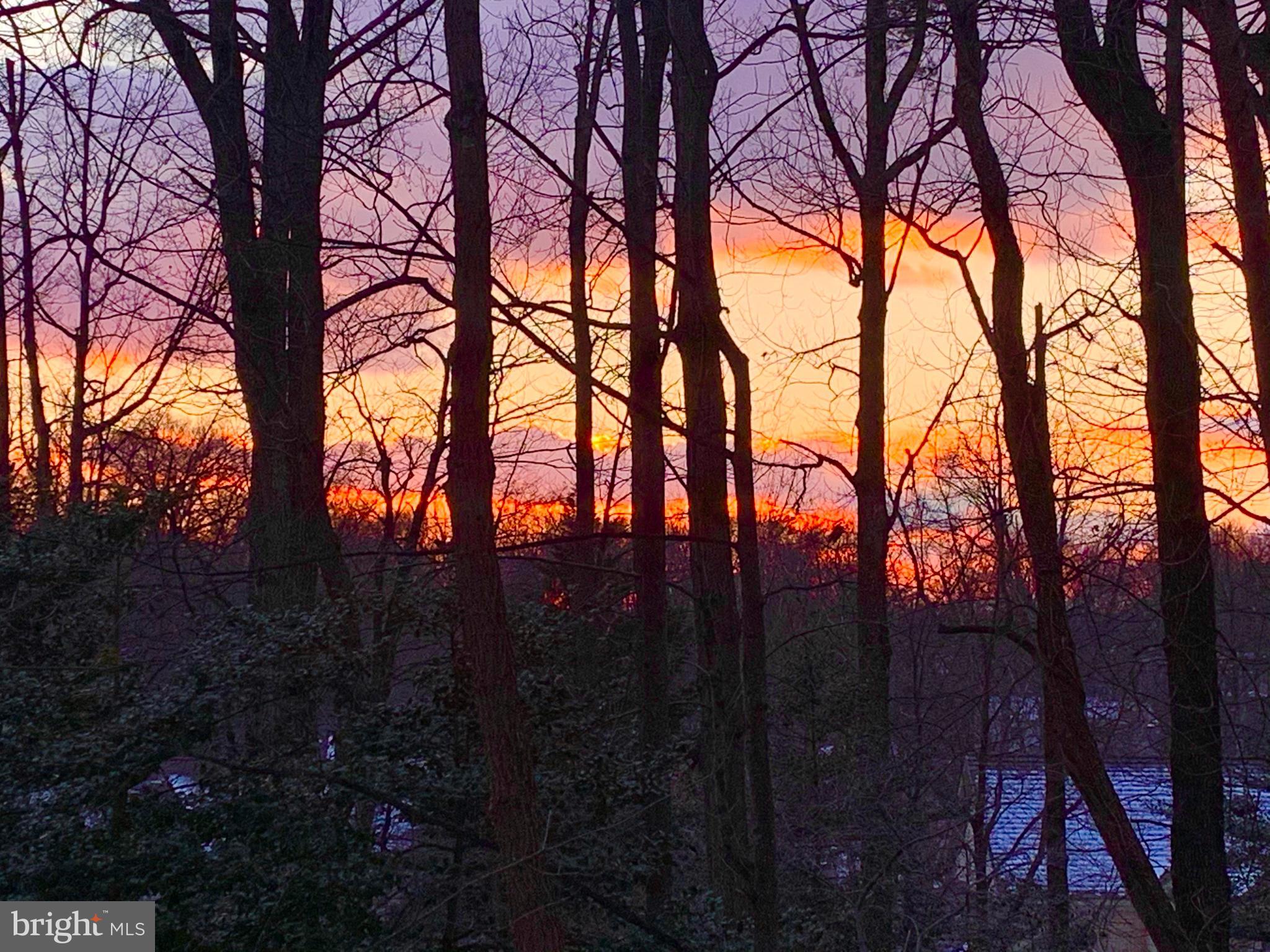 DEER FOREST - Residential Lease