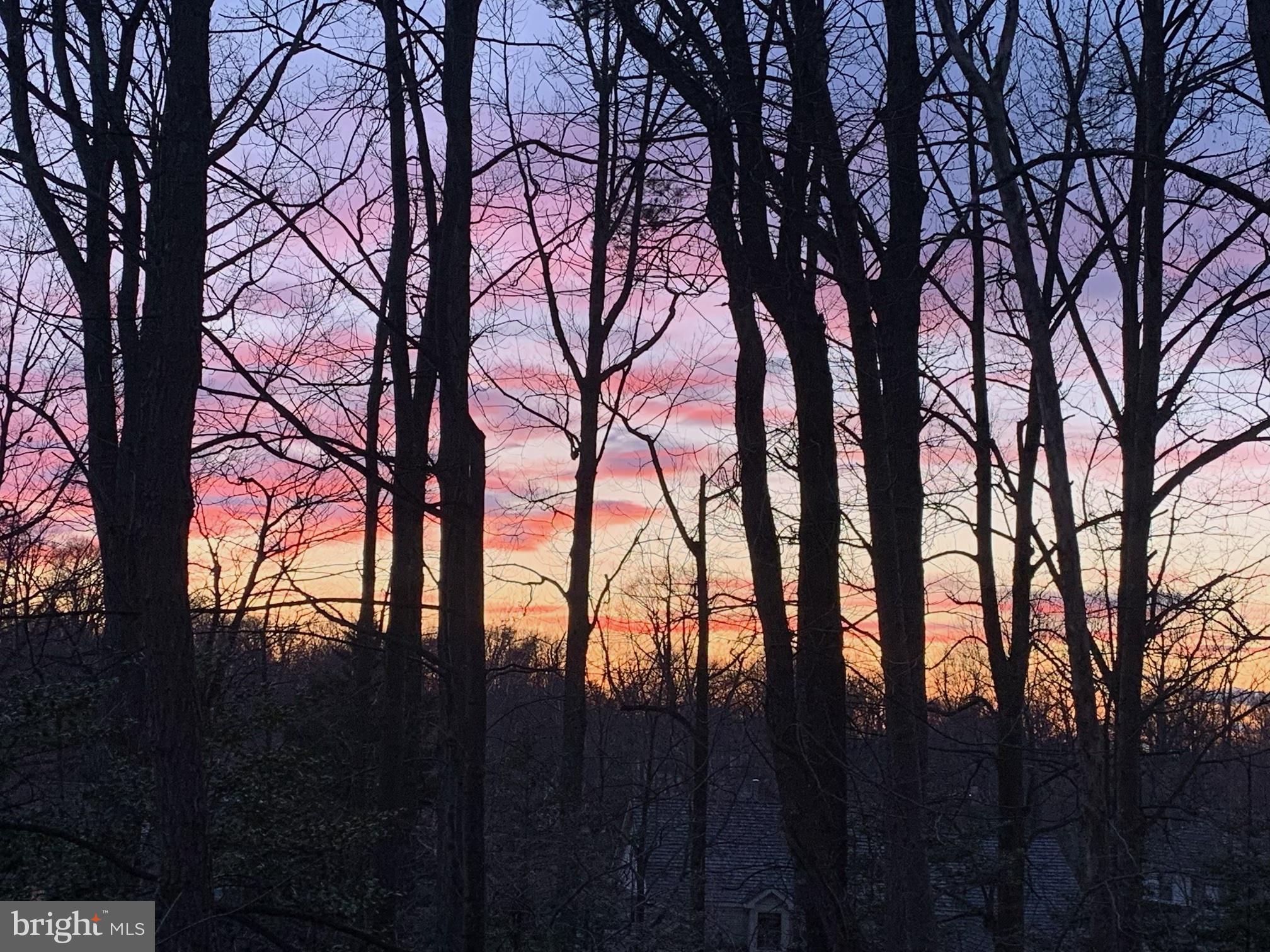 DEER FOREST - Residential Lease