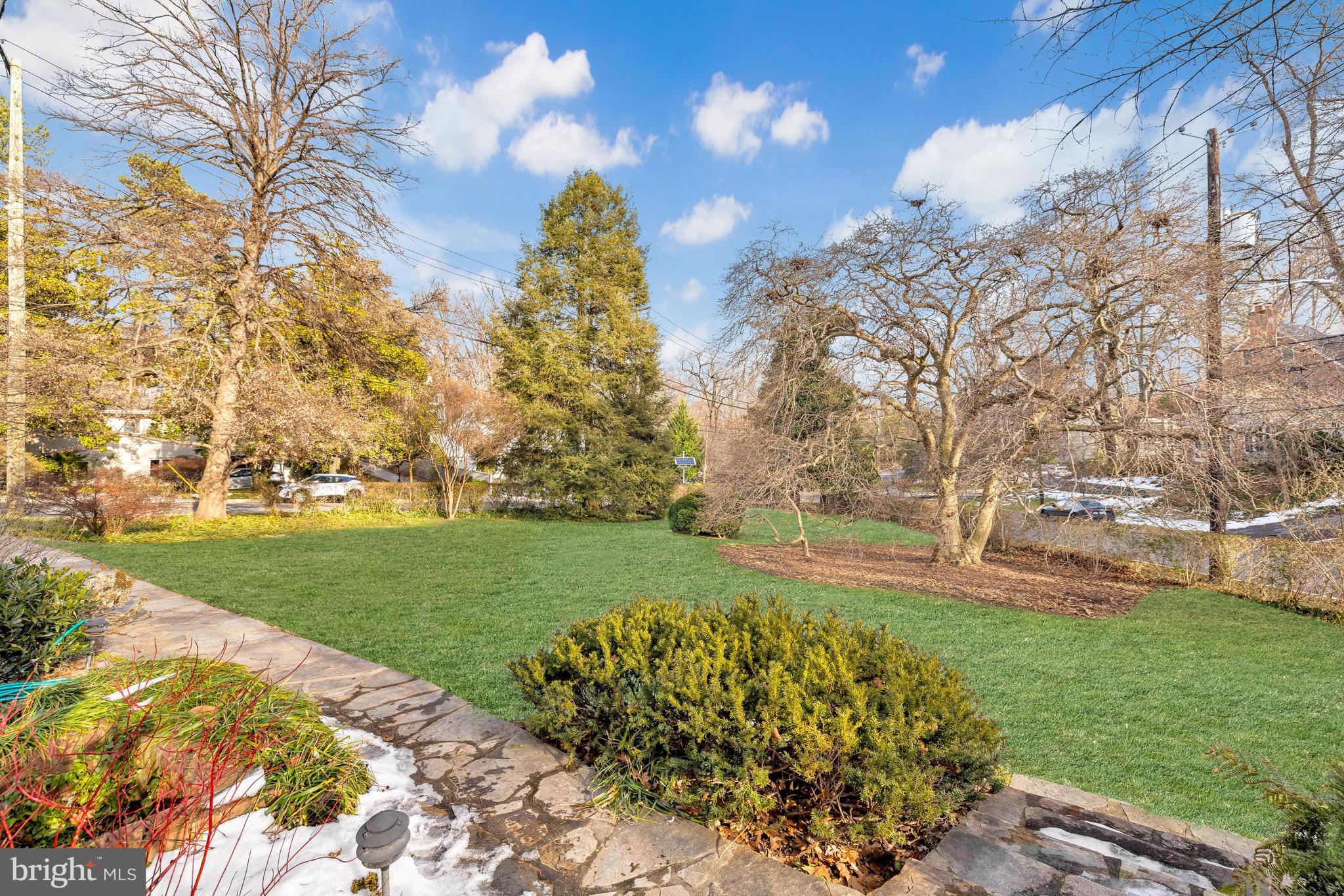 FOREST HILLS - Residential