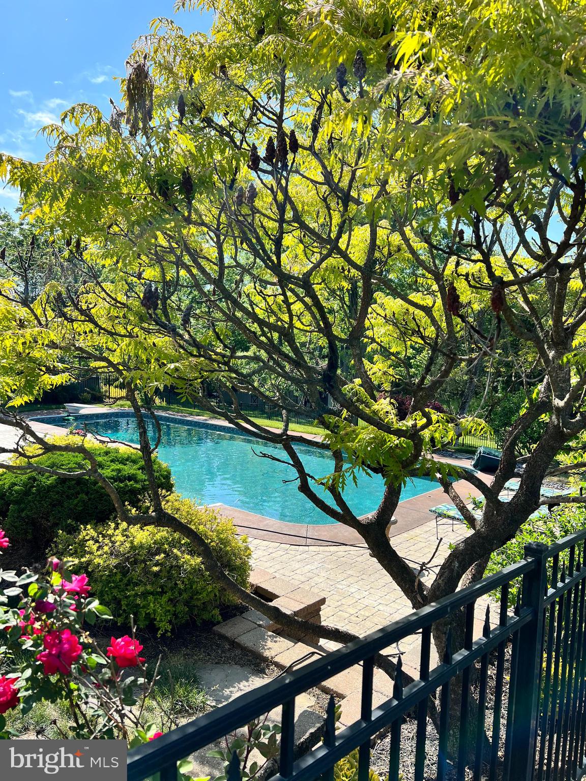 15 MANOR DRIVE