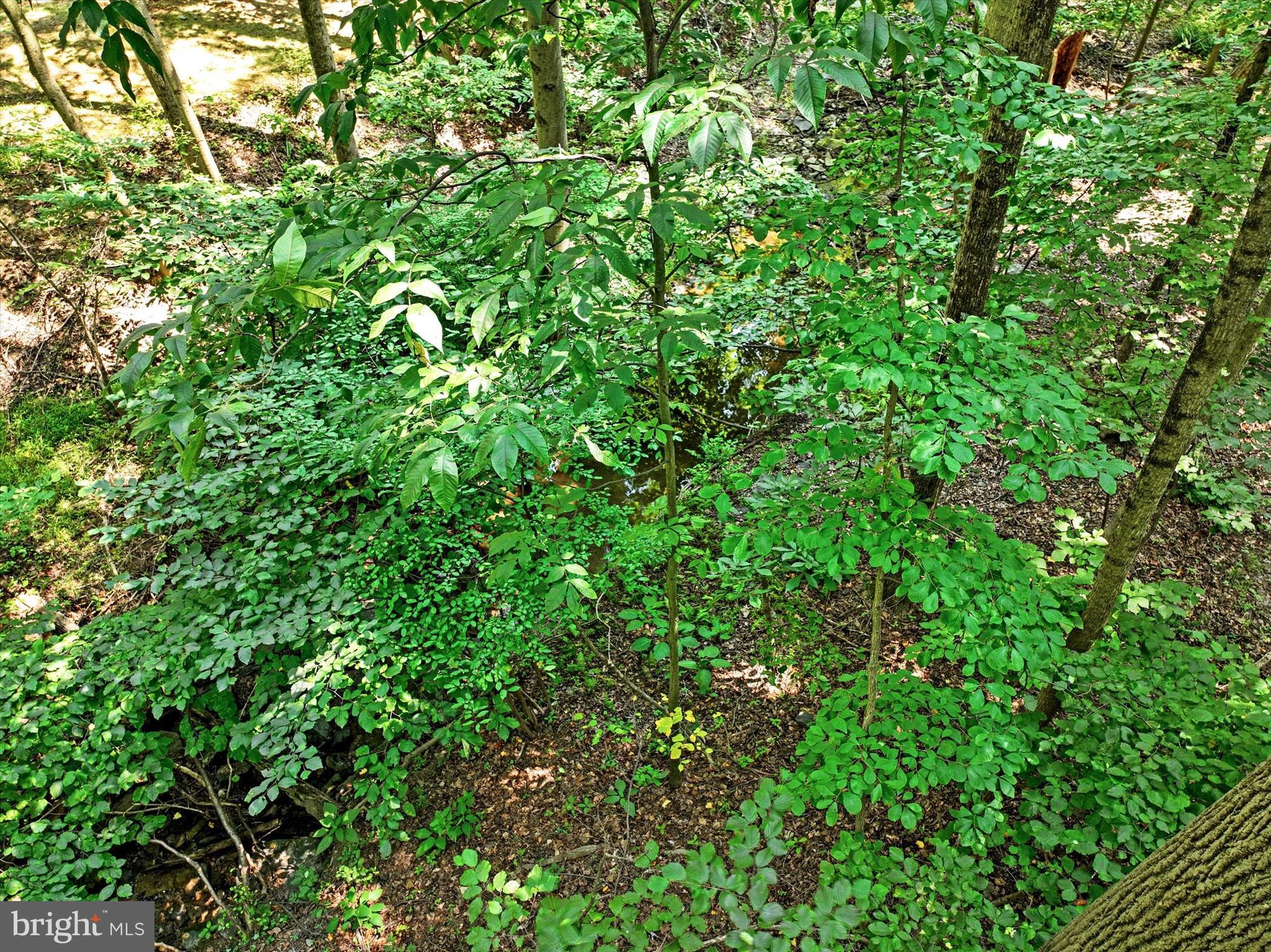 SPRINGETTS OAKS - Residential