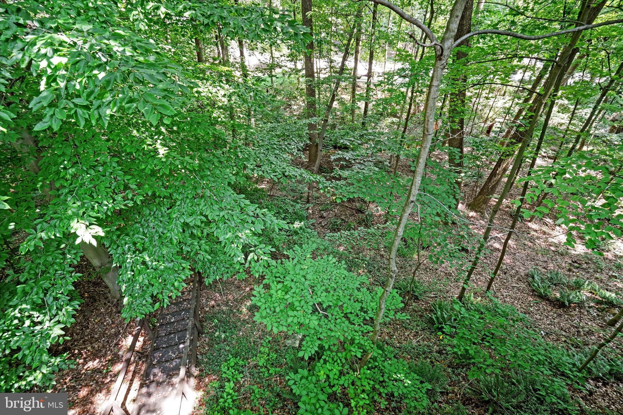 SPRINGETTS OAKS - Residential