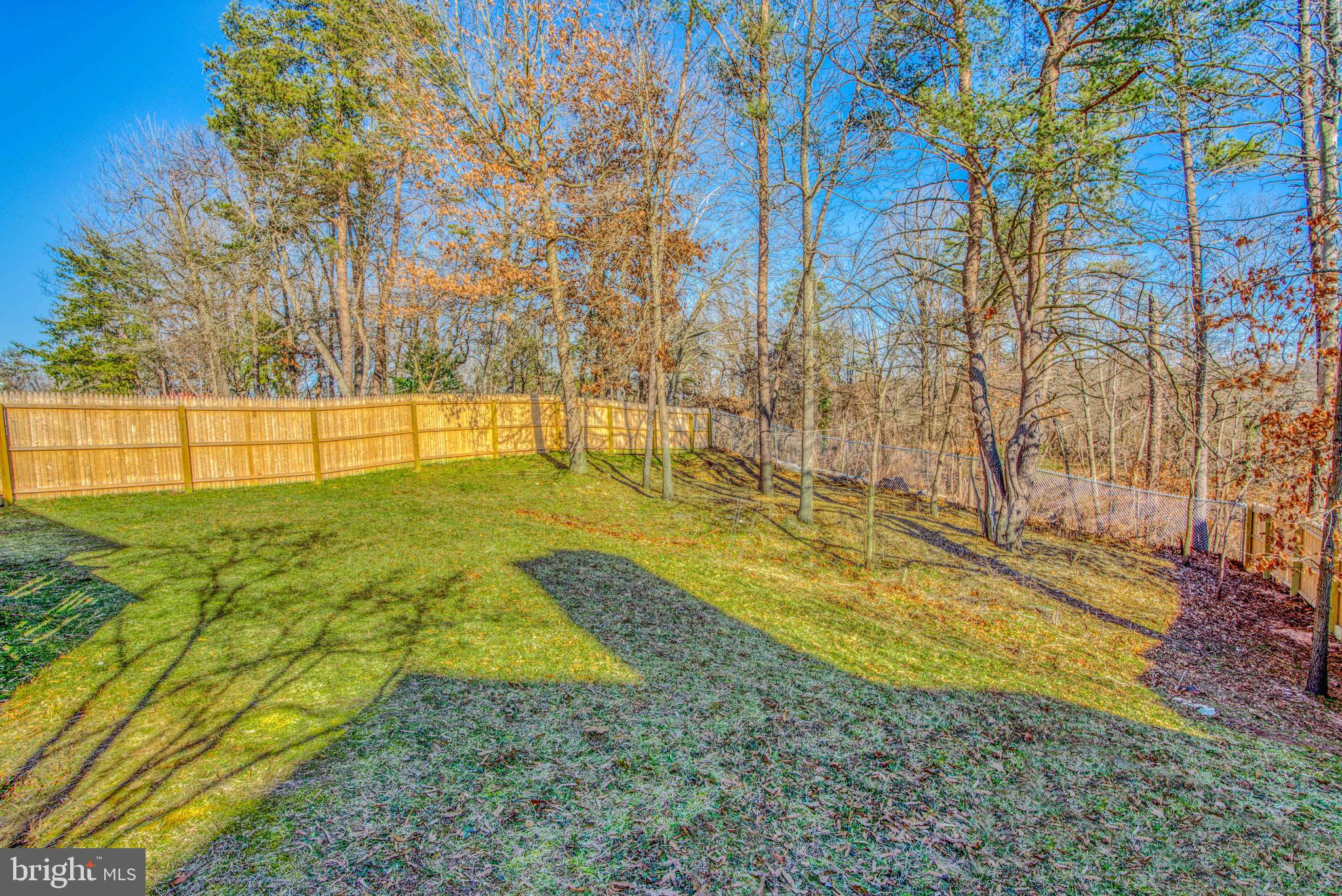 MOUNT AUGUSTINE - Residential