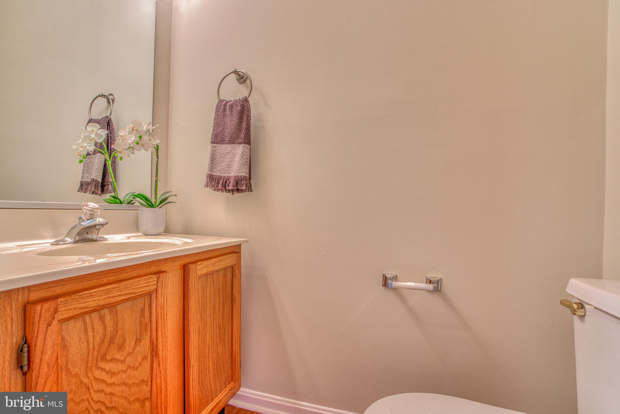 MOUNT AUGUSTINE - Residential