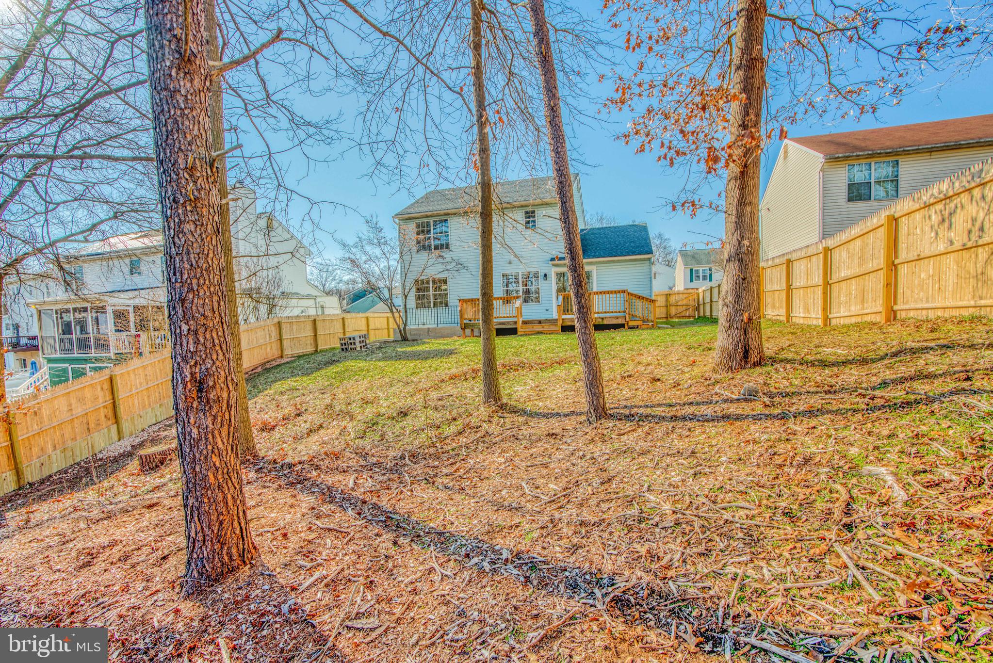 MOUNT AUGUSTINE - Residential