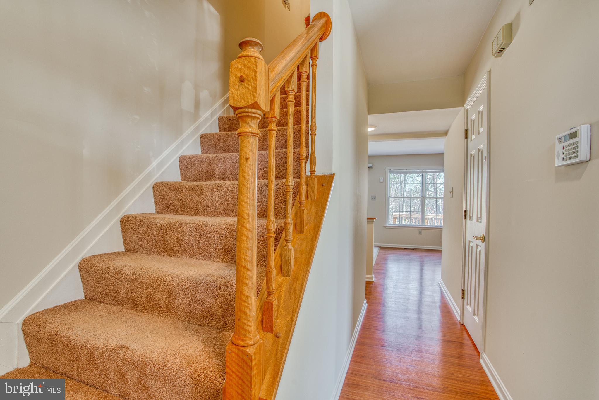 MOUNT AUGUSTINE - Residential