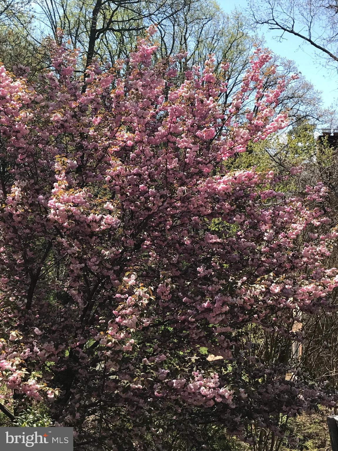 WARNERS - Residential