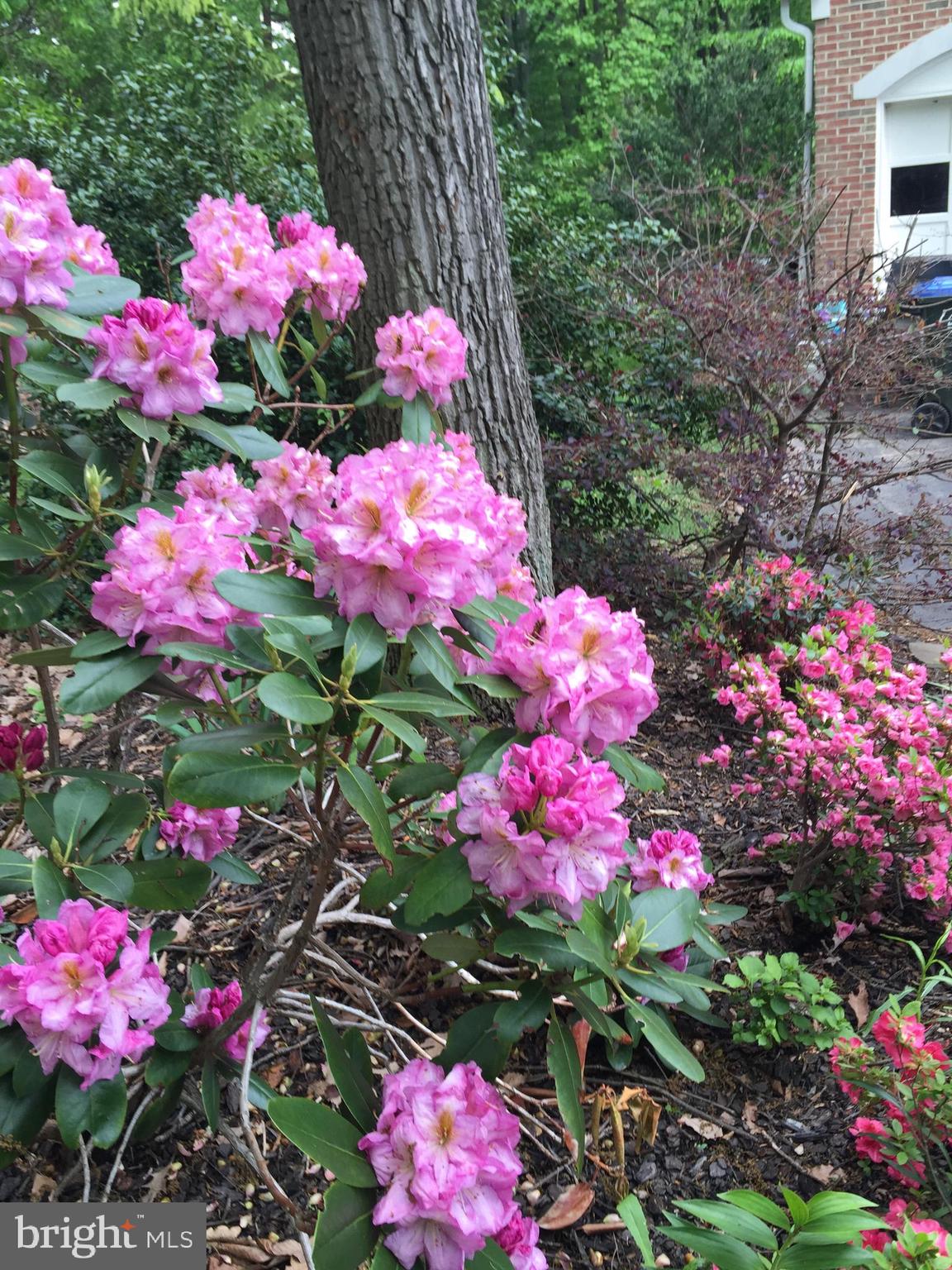 WARNERS - Residential