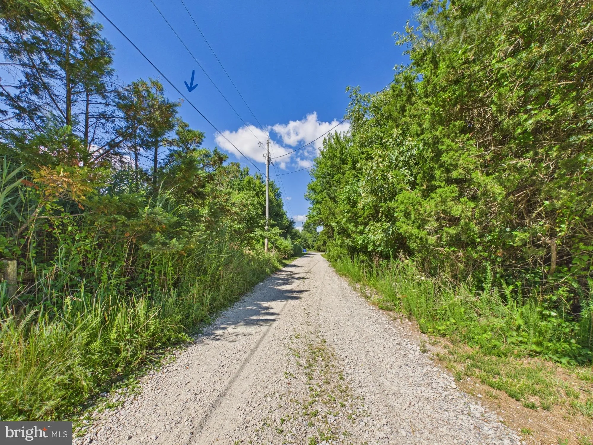 Additional image 16 of 105 Mississippi Avenue, Milton, DE 19968