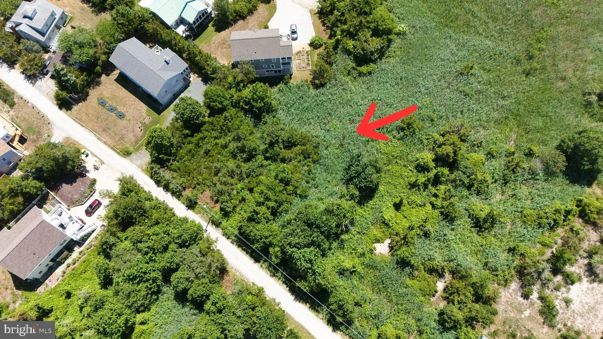 Additional image 19 of 105 Mississippi Avenue, Milton, DE 19968