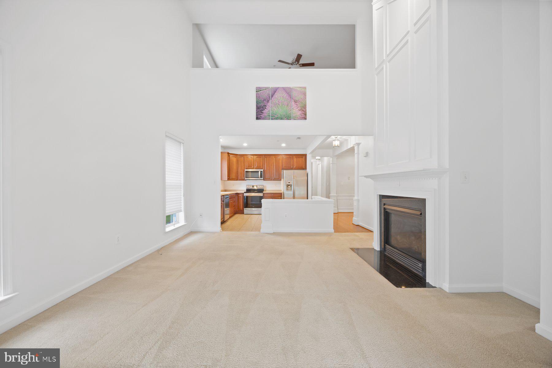 CARROLL VISTA - Residential