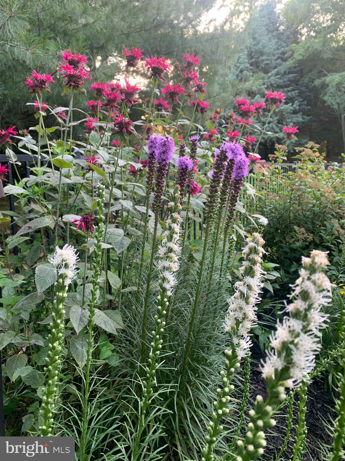 PARK HILLS WEST - Residential