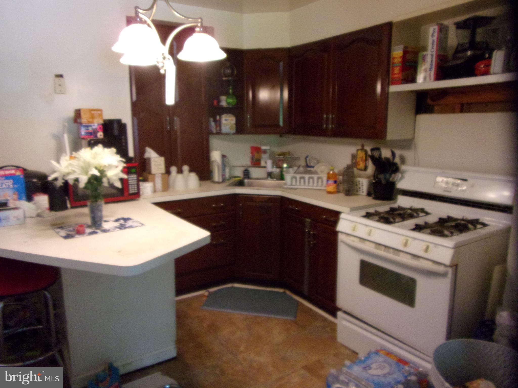 CHESACO PARK - Residential