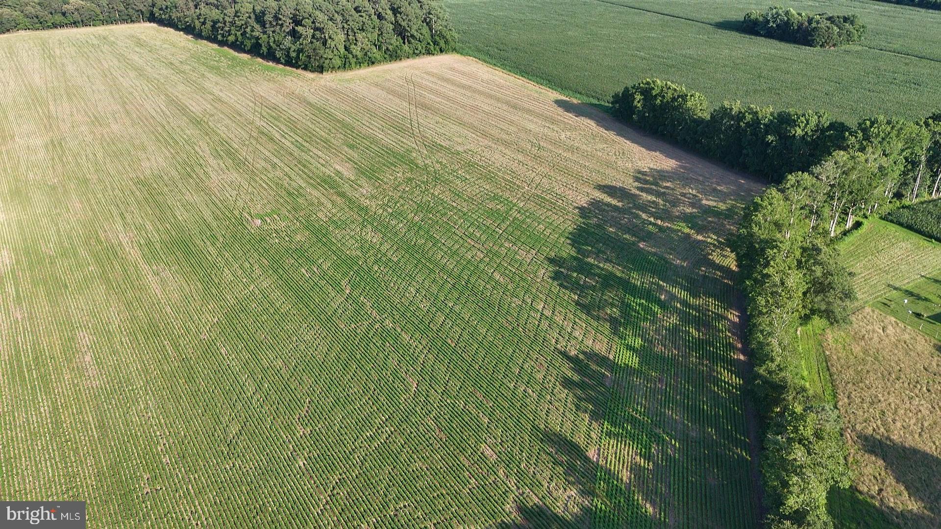 6.5 ACRES RUSSELL ROAD