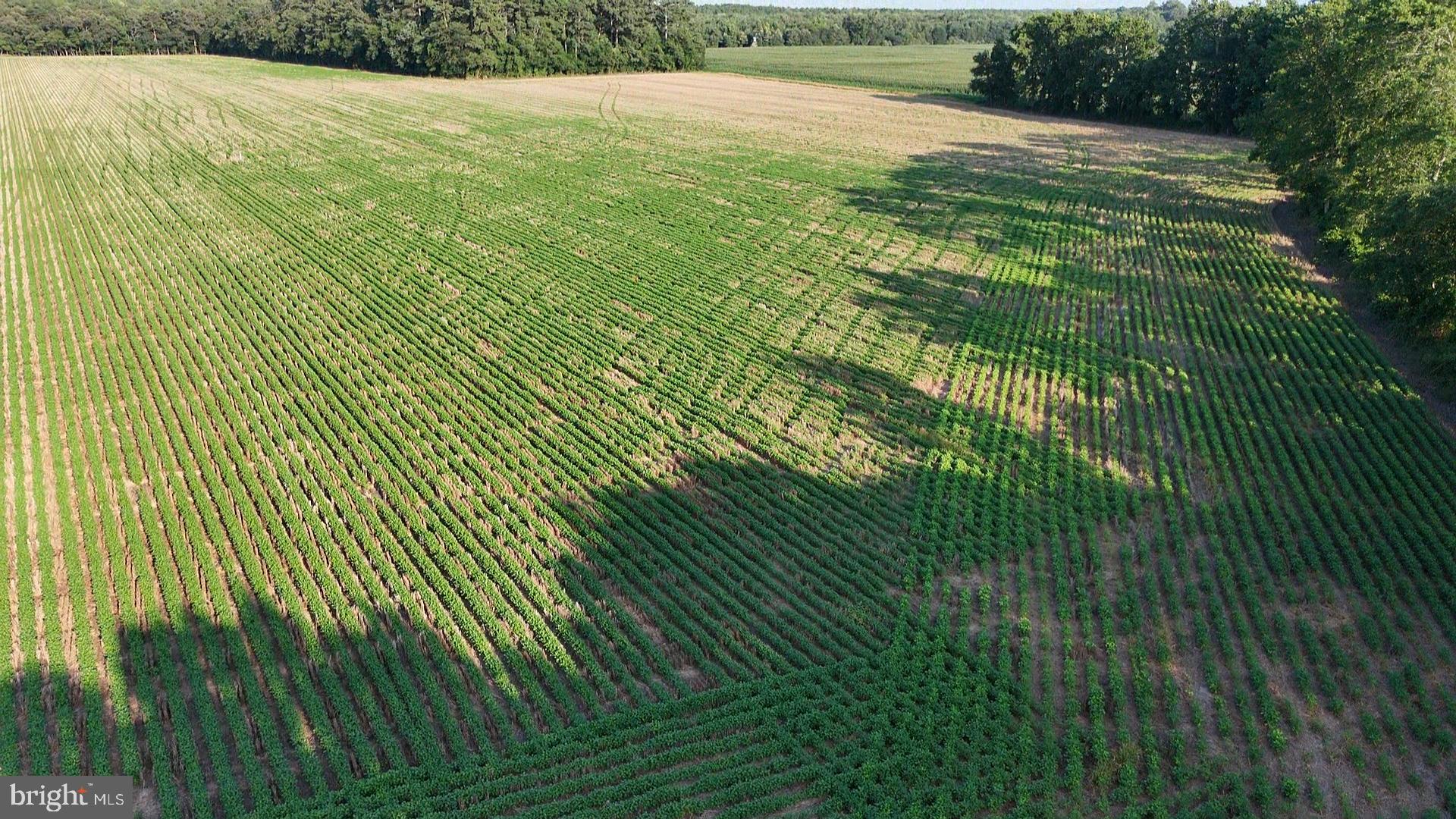6.5 ACRES RUSSELL ROAD
