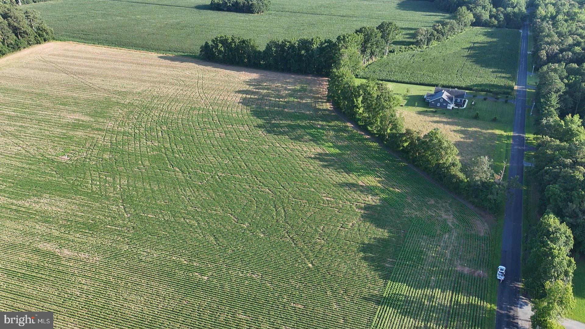 6.5 ACRES RUSSELL ROAD