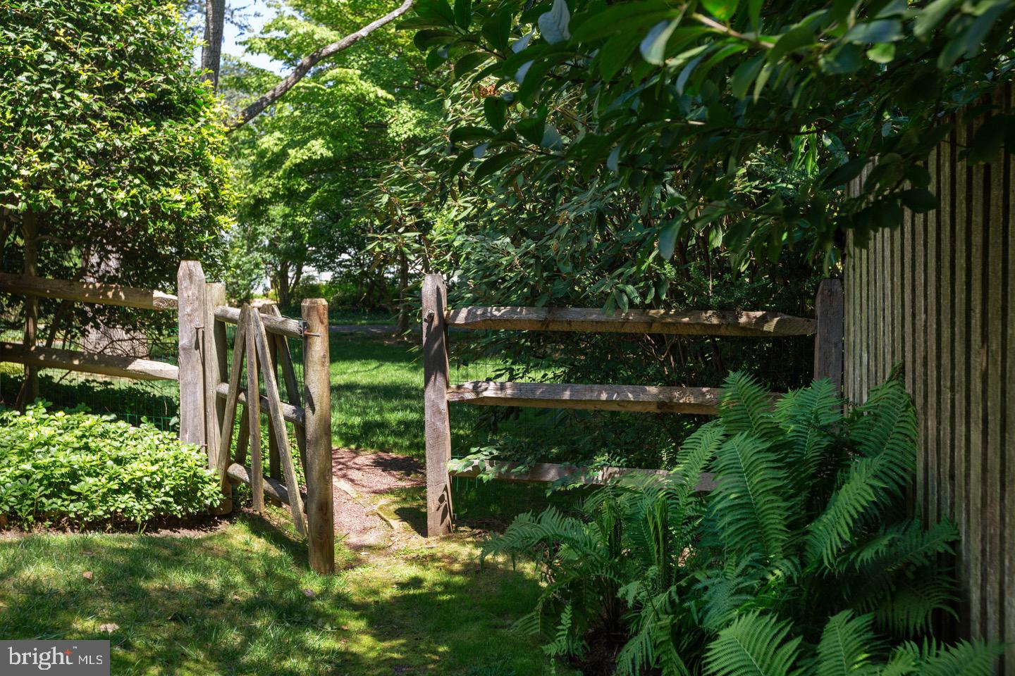 CHESTNUT HILL - Residential