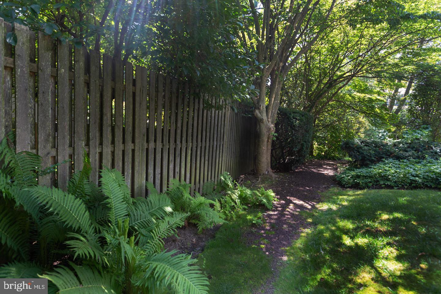 CHESTNUT HILL - Residential