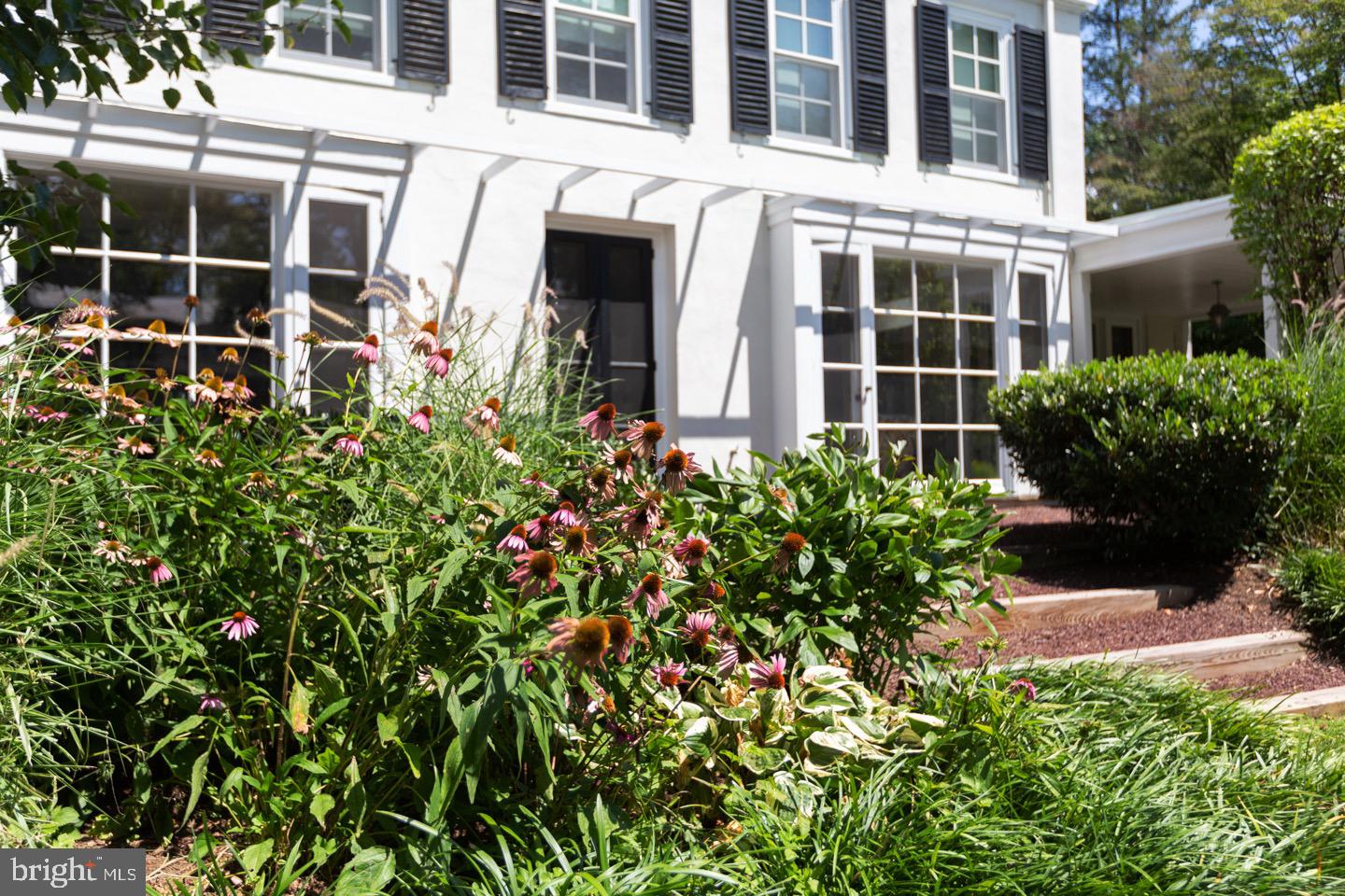 CHESTNUT HILL - Residential