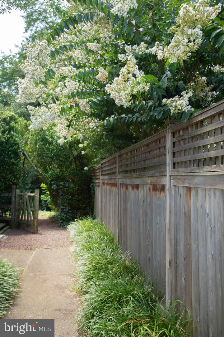 CHESTNUT HILL - Residential