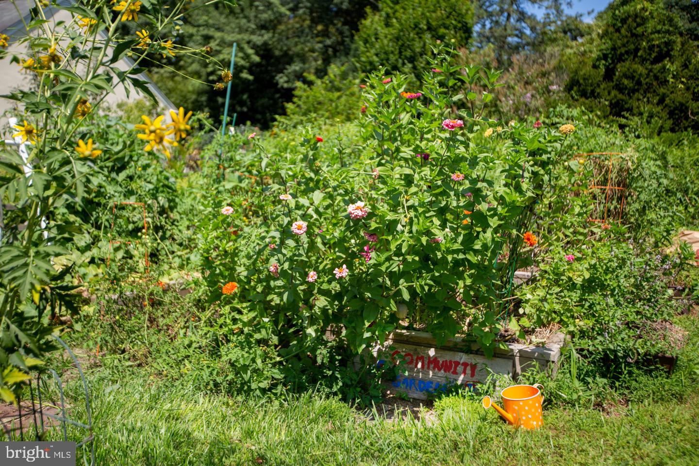 CHESTNUT HILL - Residential