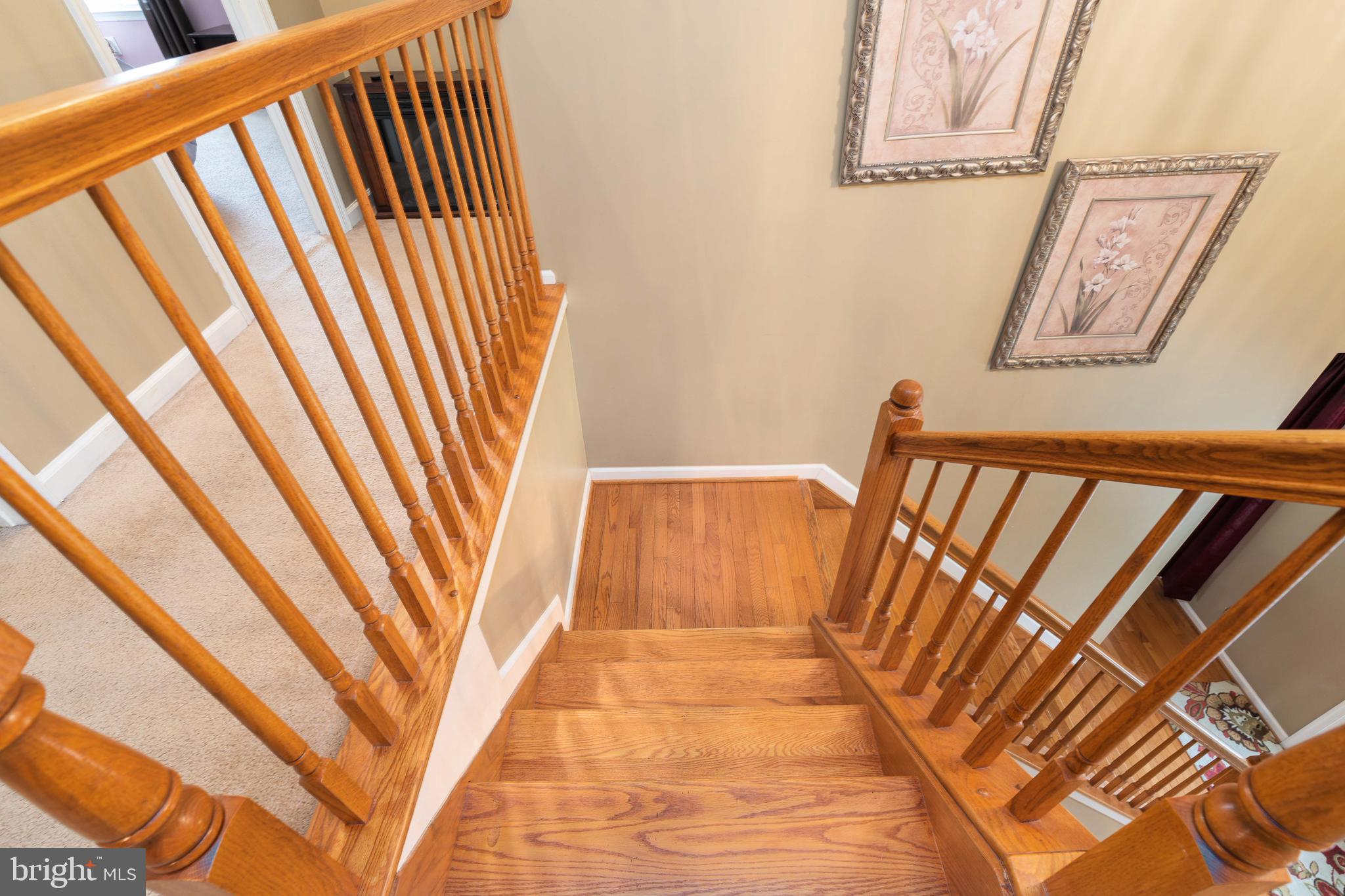 MEADOWLAND - Residential