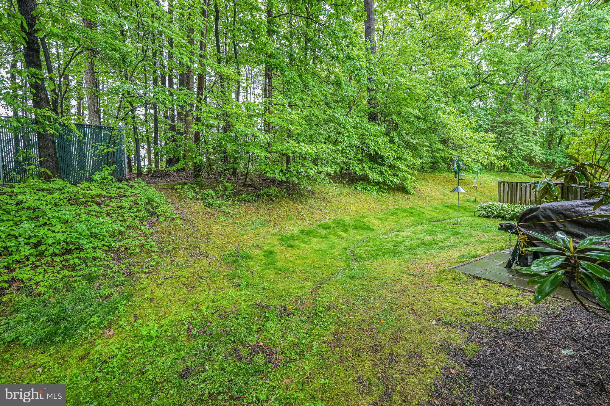 BURKE CENTRE CONSERVANCY - Residential