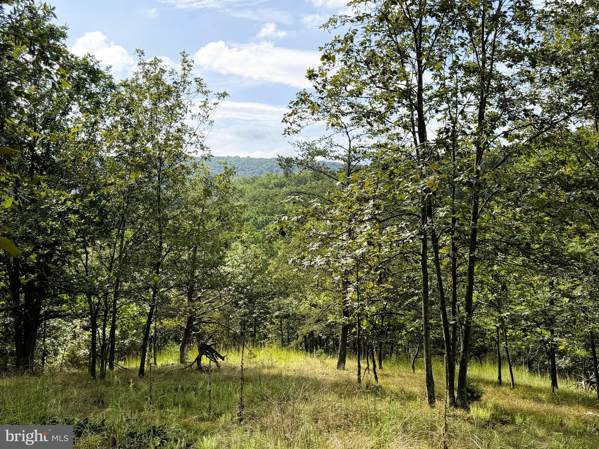 190 BLUFFS ON THE POTOMAC