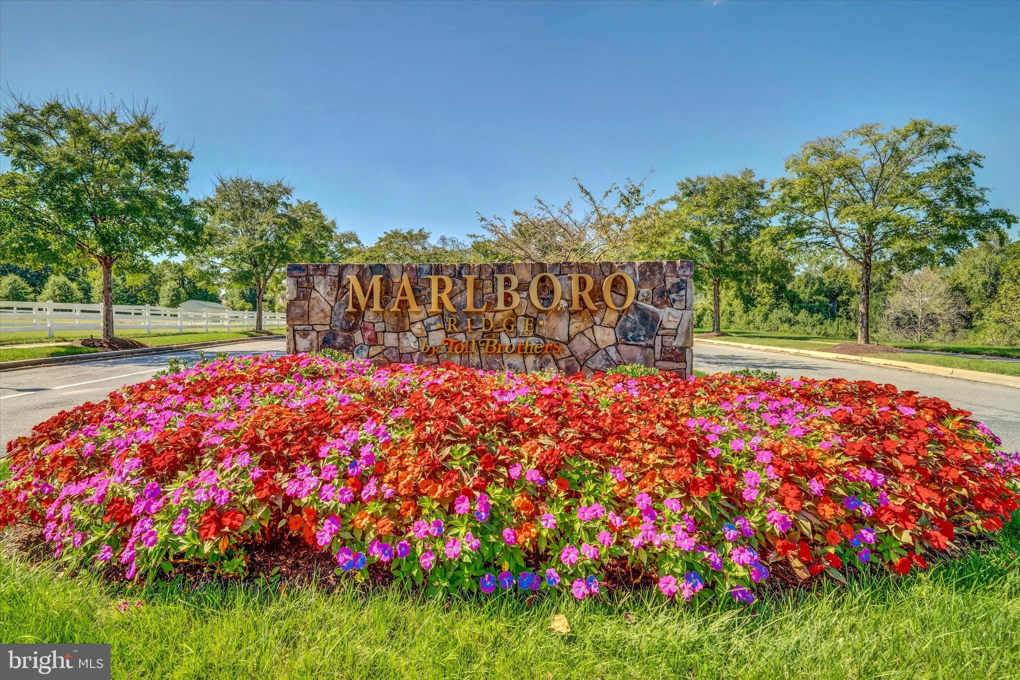 11007 FILLYS FORD CROSSING