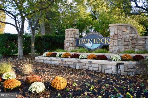 Photo for 279 TAVISTOCK