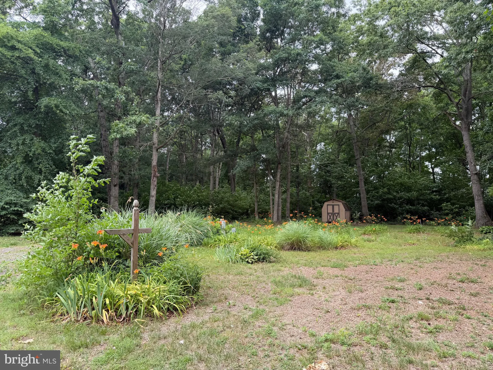 Additional image 107 of 25629 Ischer Road, Federalsburg, MD 21632