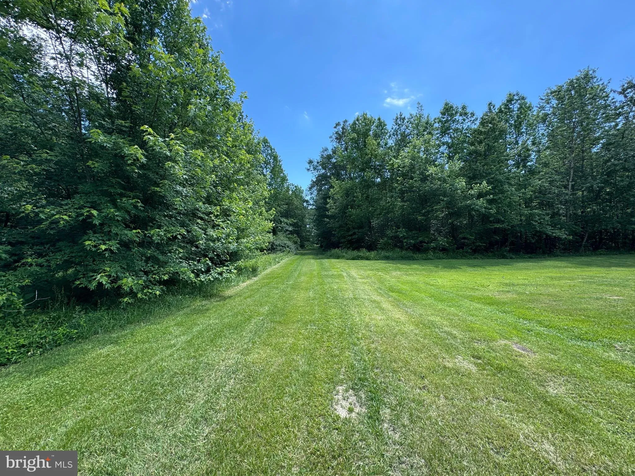 Additional image 98 of 25629 Ischer Road, Federalsburg, MD 21632