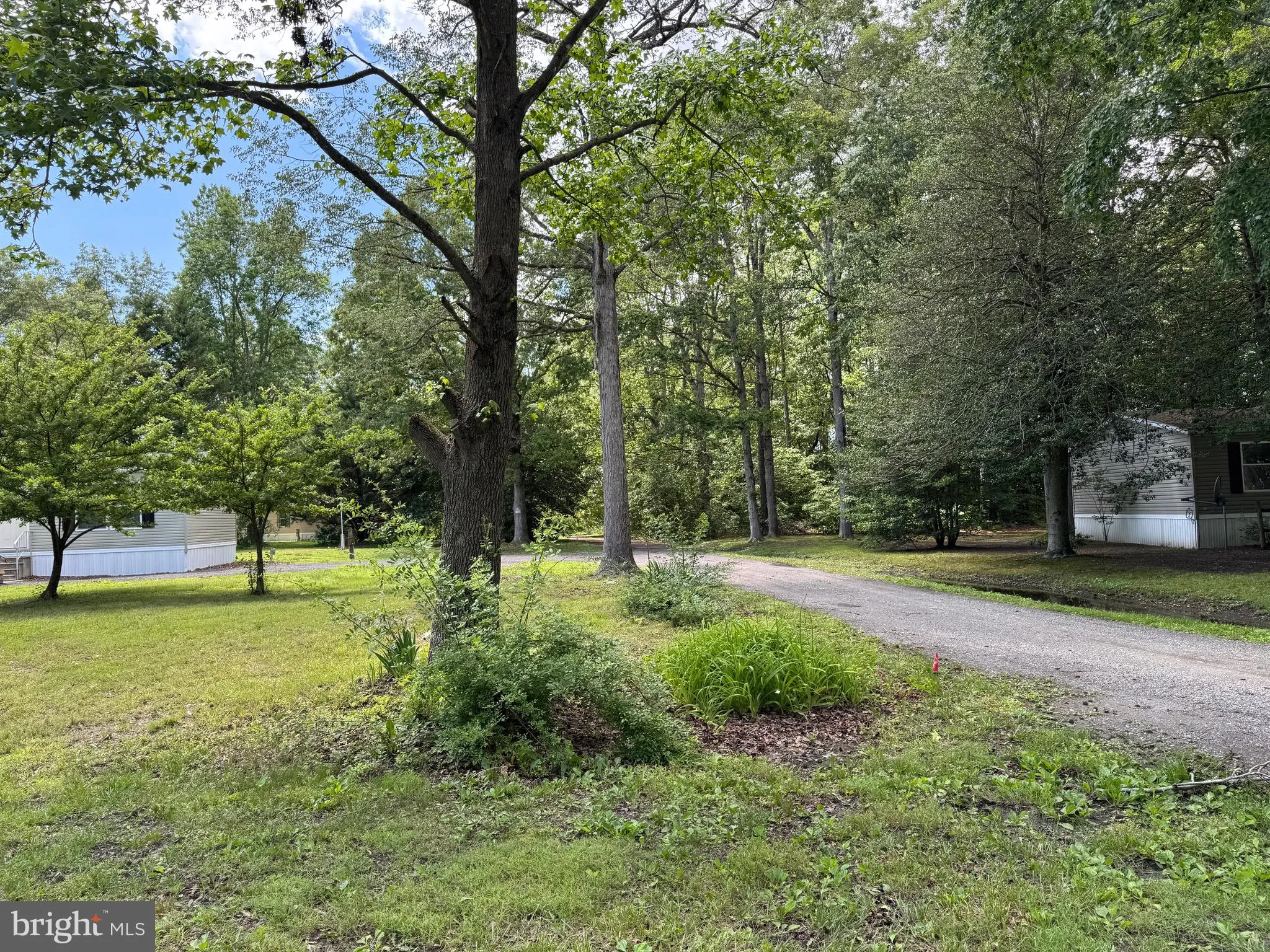 Additional image 73 of 25629 Ischer Road, Federalsburg, MD 21632
