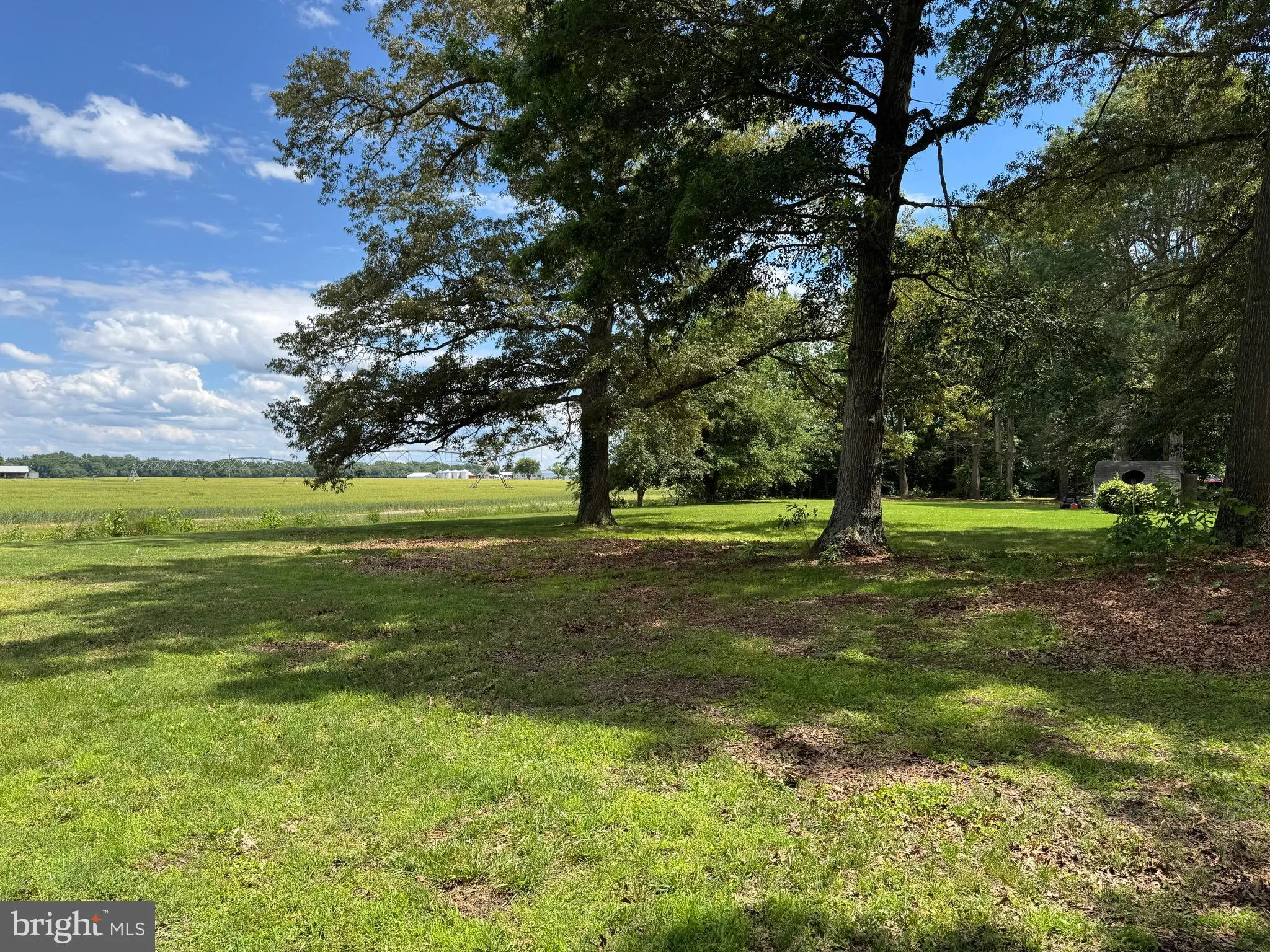 Additional image 95 of 25629 Ischer Road, Federalsburg, MD 21632