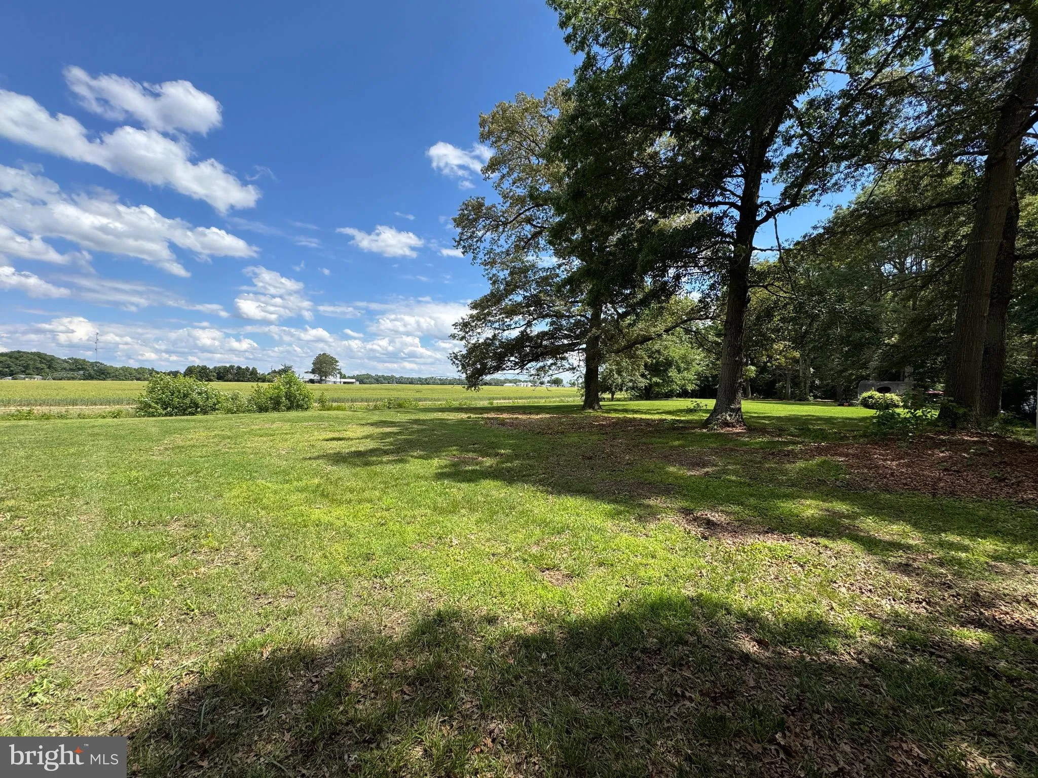 Additional image 96 of 25629 Ischer Road, Federalsburg, MD 21632