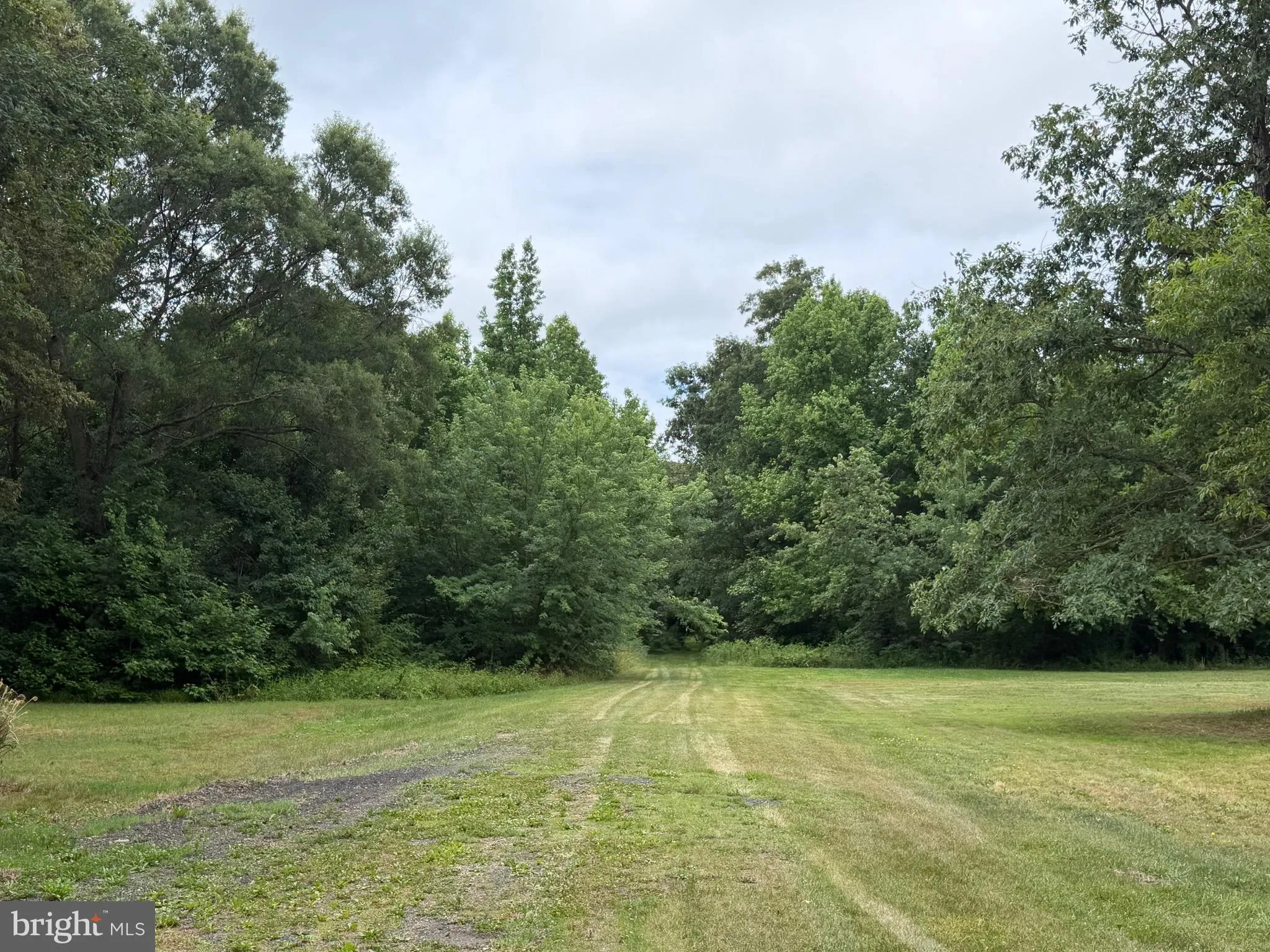Additional image 64 of 25629 Ischer Road, Federalsburg, MD 21632