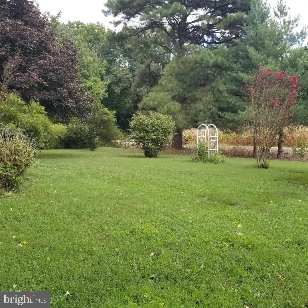 Additional image 62 of 25629 Ischer Road, Federalsburg, MD 21632