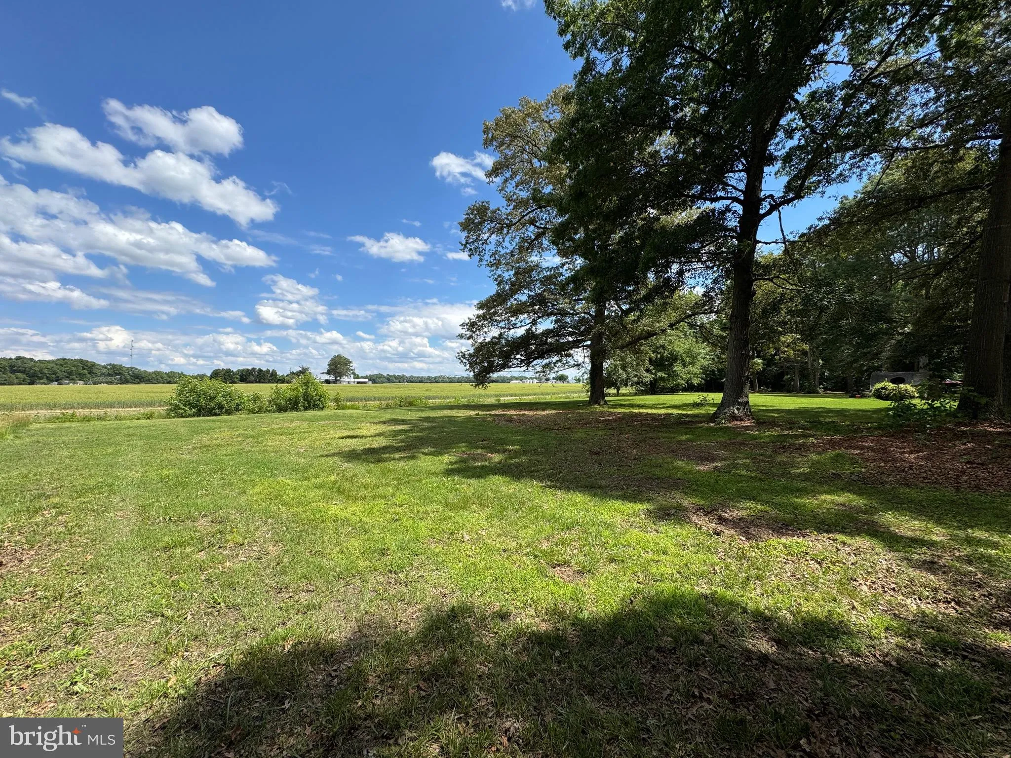 Additional image 97 of 25629 Ischer Road, Federalsburg, MD 21632