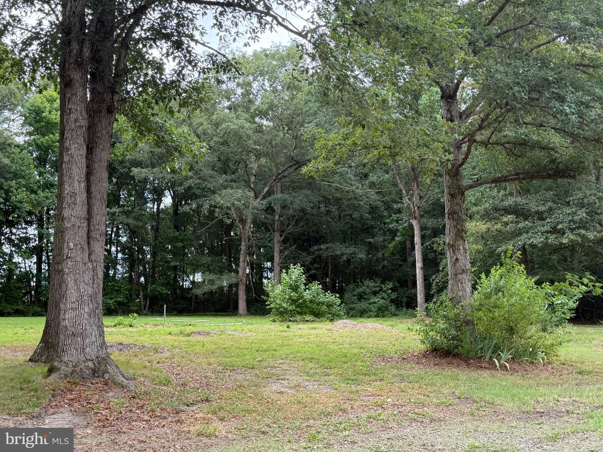 Additional image 108 of 25629 Ischer Road, Federalsburg, MD 21632