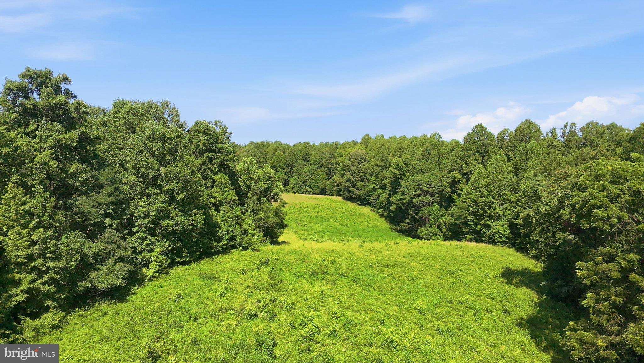 13729 MARTIN ROAD