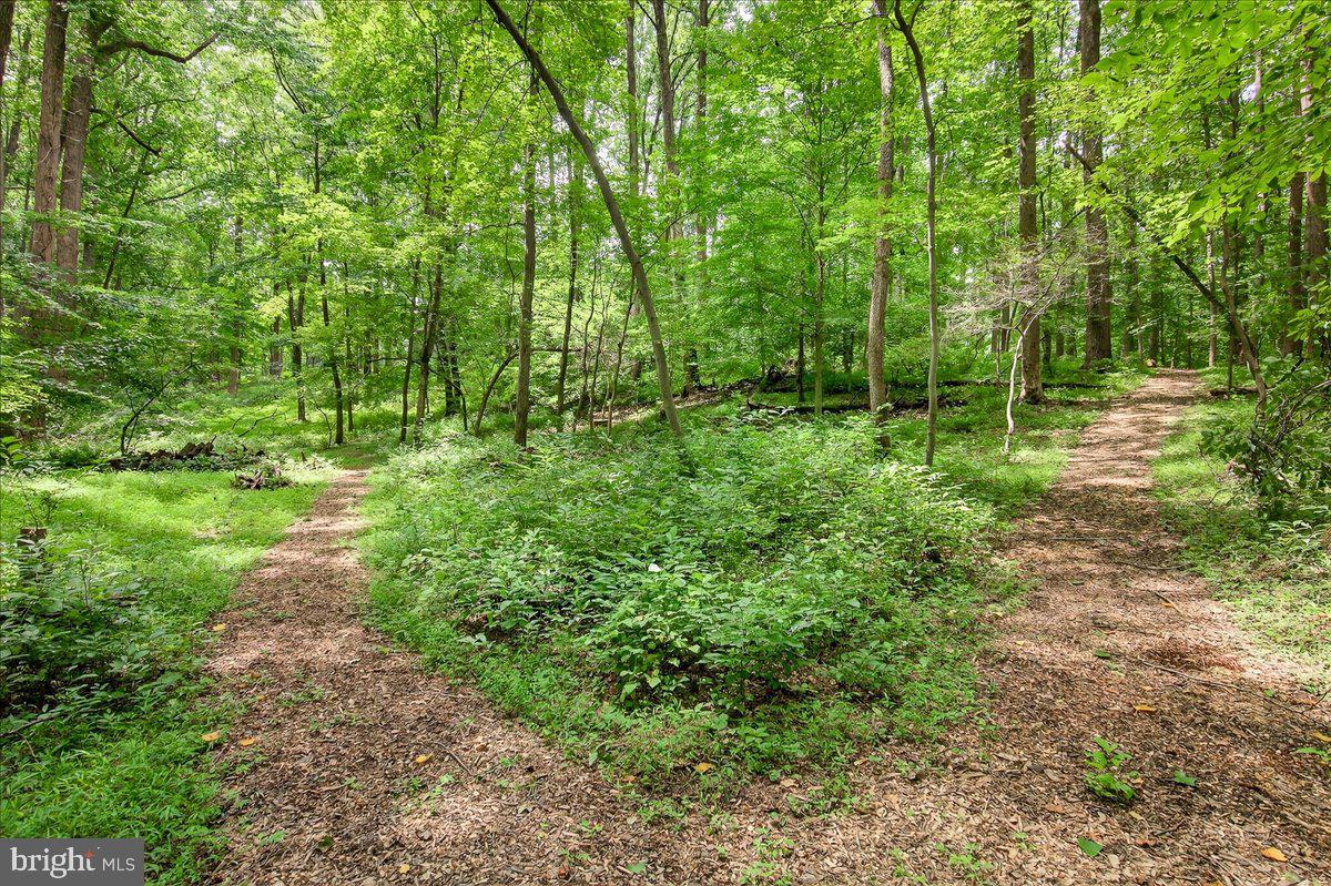 THISTLEDOWN - Residential