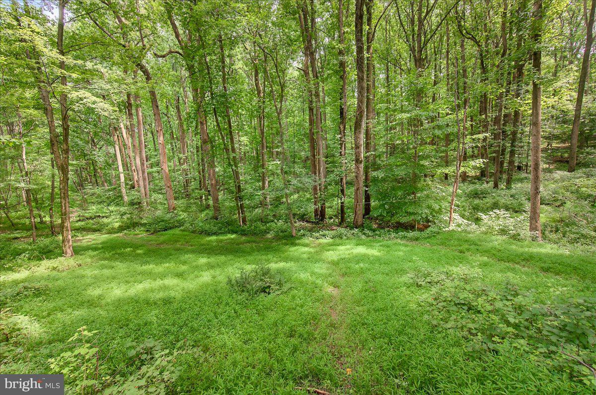 THISTLEDOWN - Residential