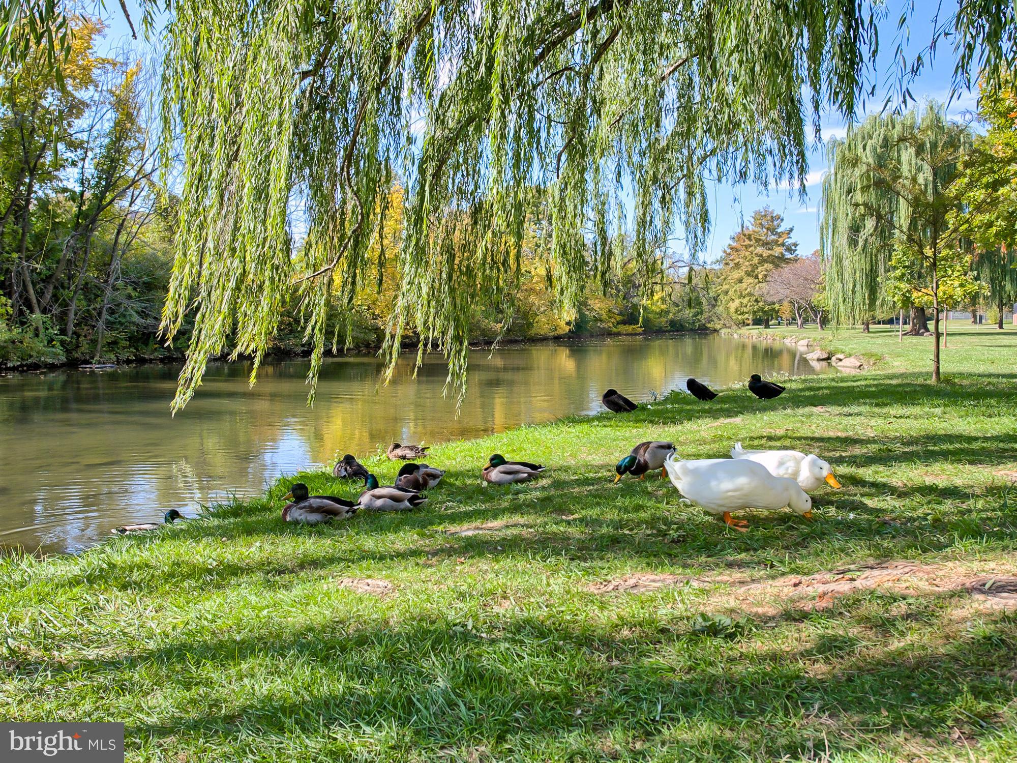MONOCACY VILLAGE - Residential