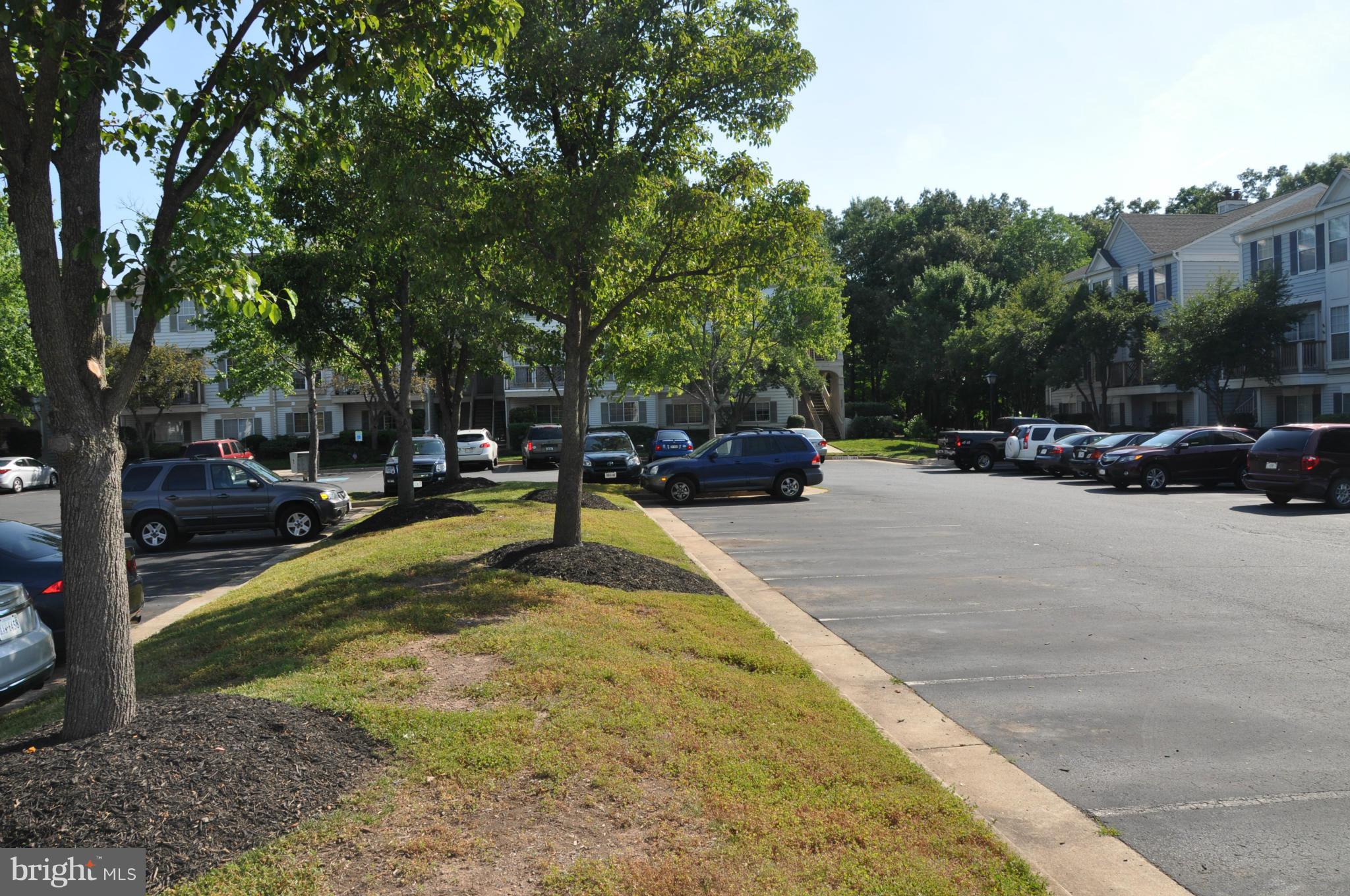 BULL RUN CONDO - Residential