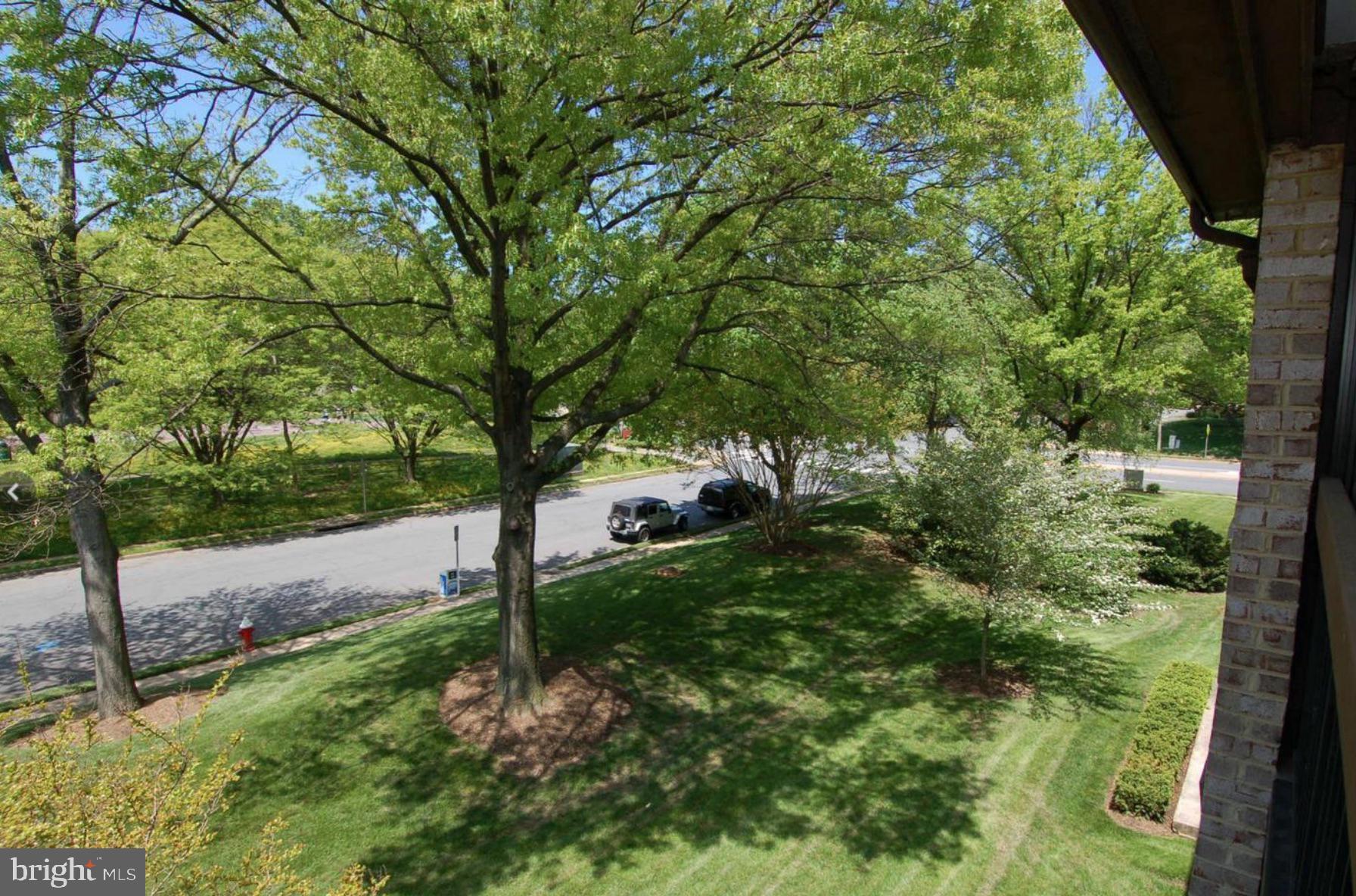 TREEBROOKE CONDOMINIUM - Residential Lease