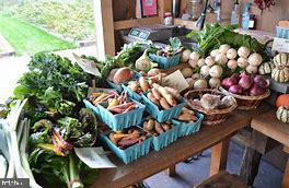 WILLOWSFORD - Residential