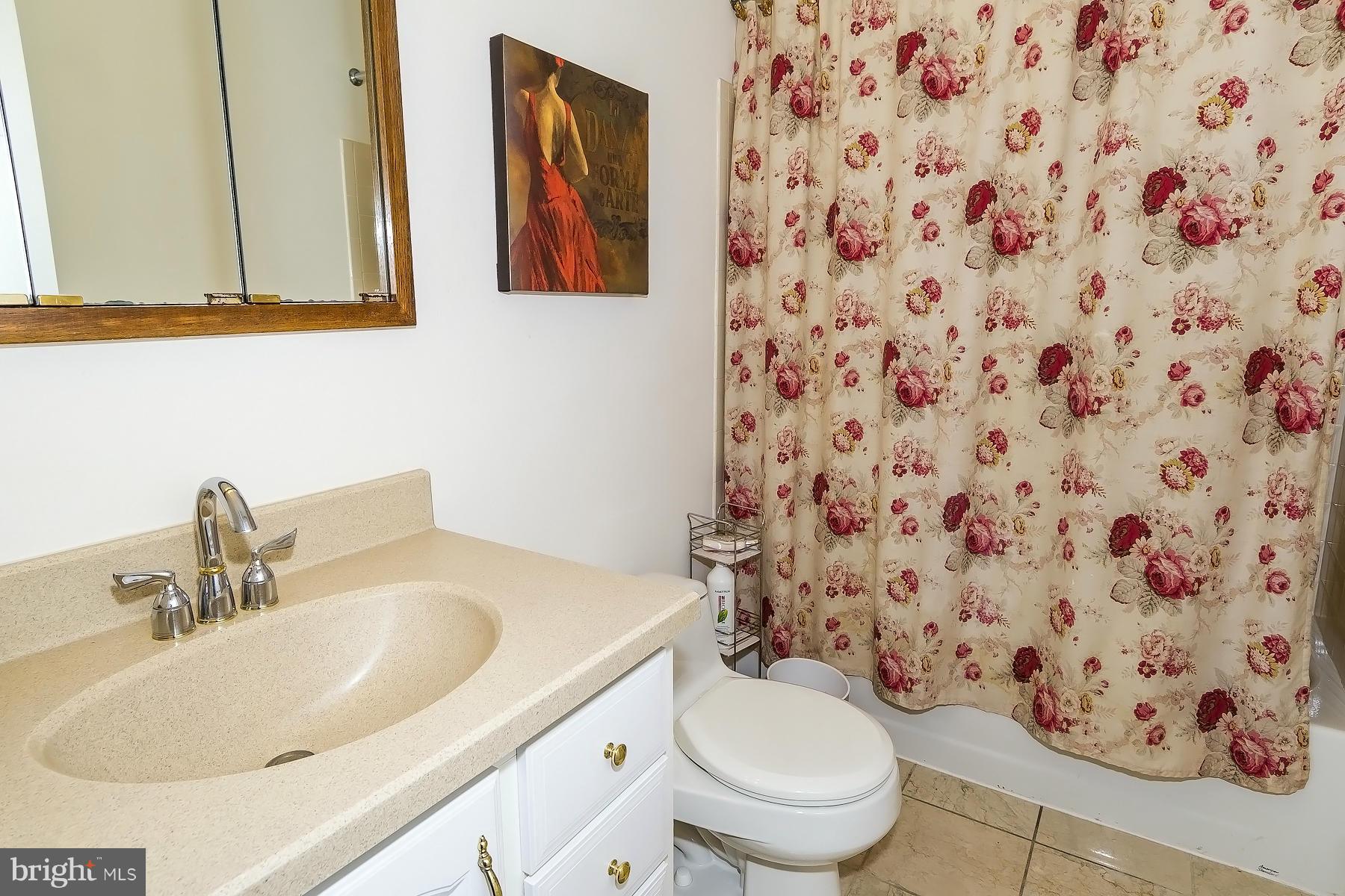 VILLAGE OF HICKORY RIDGE - Residential