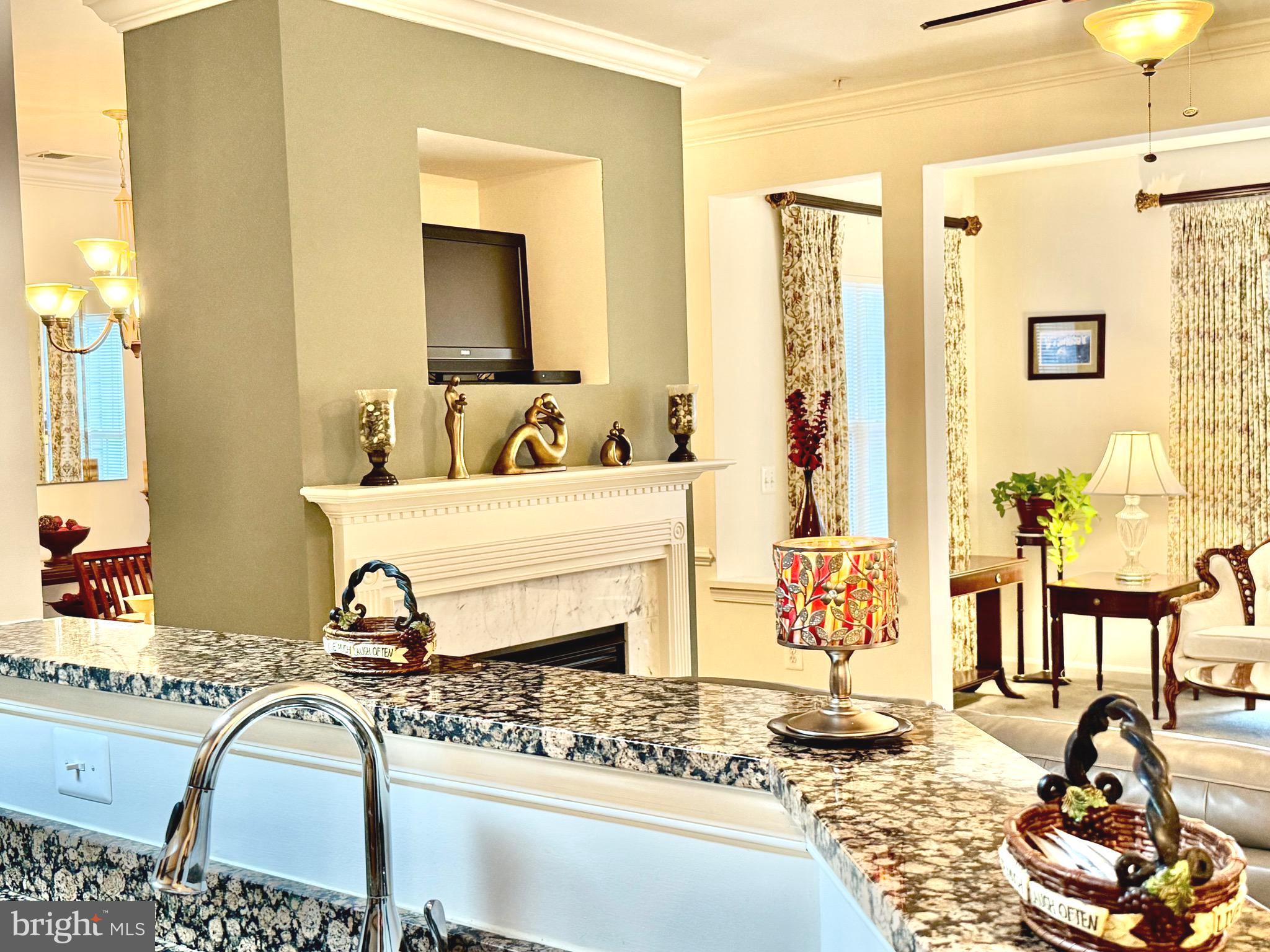 13216 FOX BOW DRIVE 202